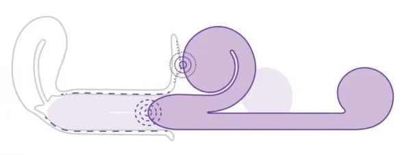 Vibrators Seductucom Snail Vibe Purple