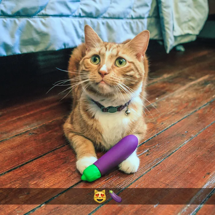 Eggplant vibrator dildo funny sex toys mysite Female Sex Toys