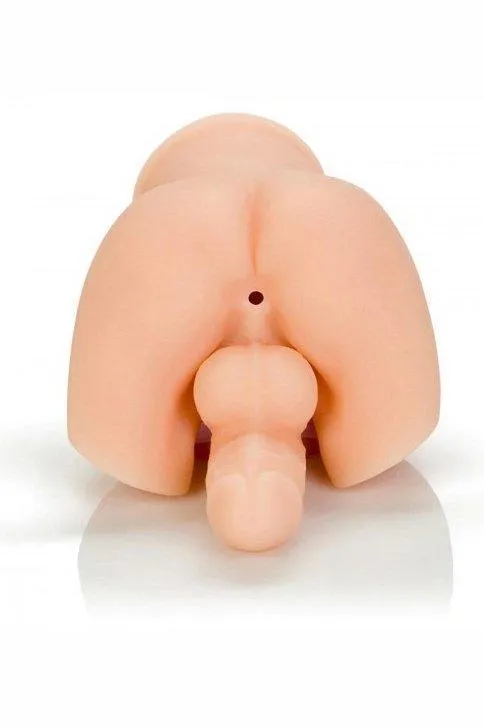 Butt Banger Sex On the Go Anal