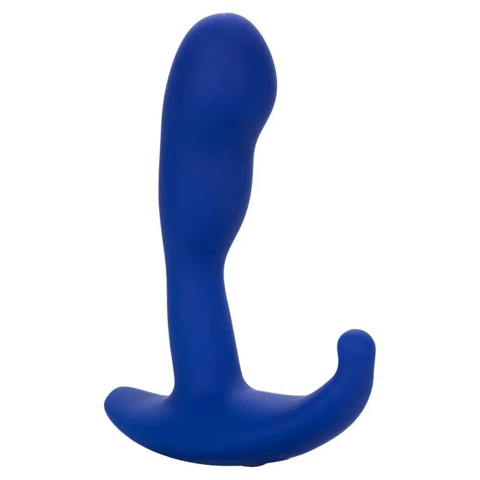 Anal CalExotics Admiral Advanced Curved Probe