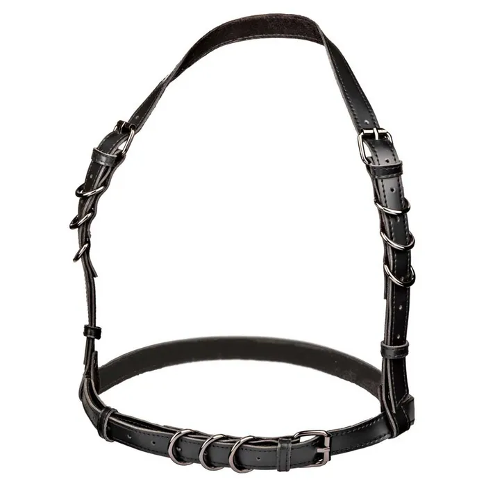CalExotics Female Sex Toys CalExotics Euphoria Halter Buckle Harness