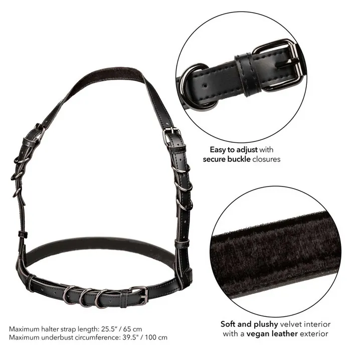 CalExotics Female Sex Toys CalExotics Euphoria Halter Buckle Harness