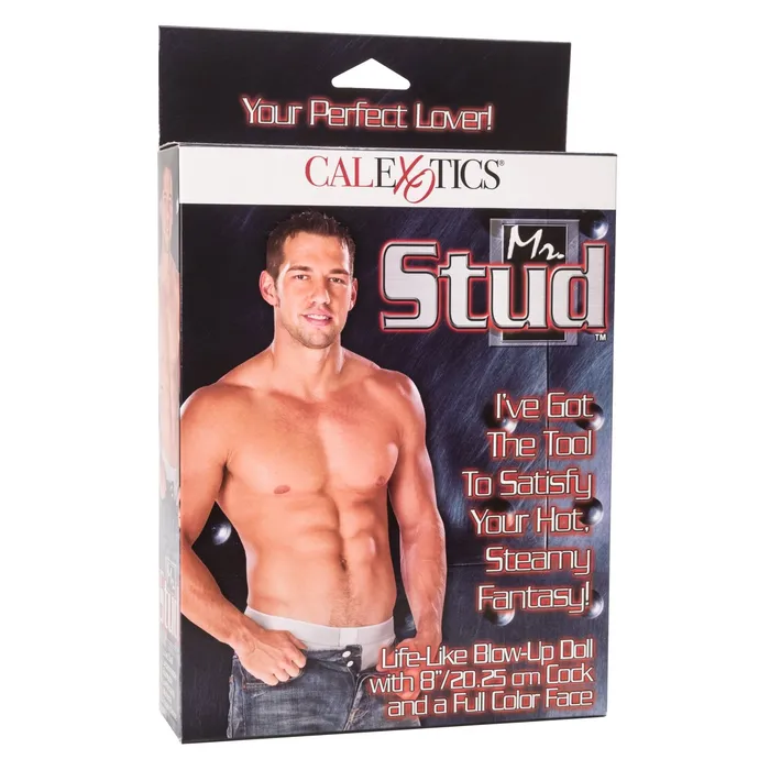 CalExotics Vibrators Mr Stud