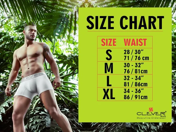 Clever Vibrators Zurich Trunks