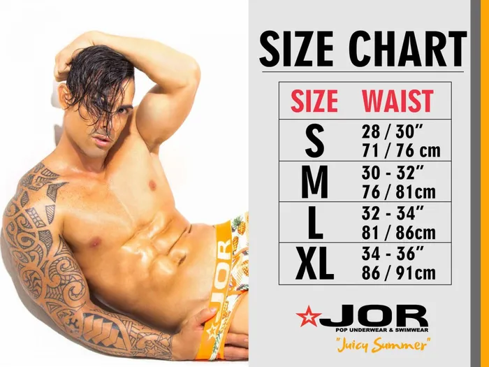 JOR Vibrators Element Briefs JOR Vibrators Element Briefs
