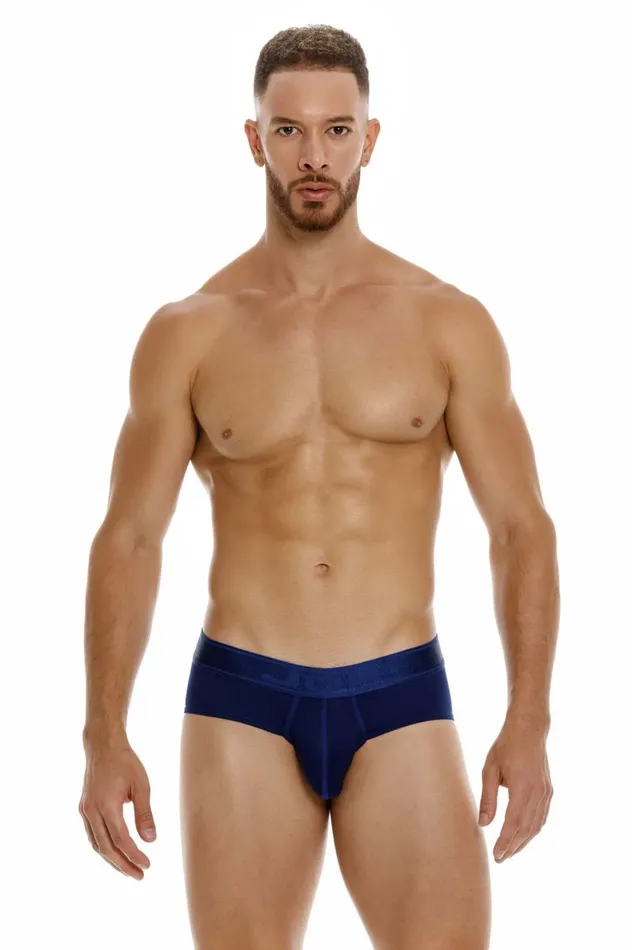 JOR Vibrators Element Briefs JOR Vibrators Element Briefs