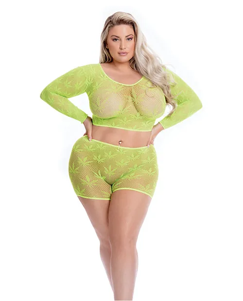 Rene Rofe Vibrators Pink Lipstick Leaf It To Me Long Sleeve Crop Top Short Qn Rene Rofe Vibrators Pink Lipstick Leaf It To Me Long Sleeve Crop Top Short Qn