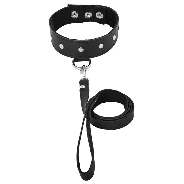 Sportsheets Restraints Sportsheets Leather Collar and Leash Set
