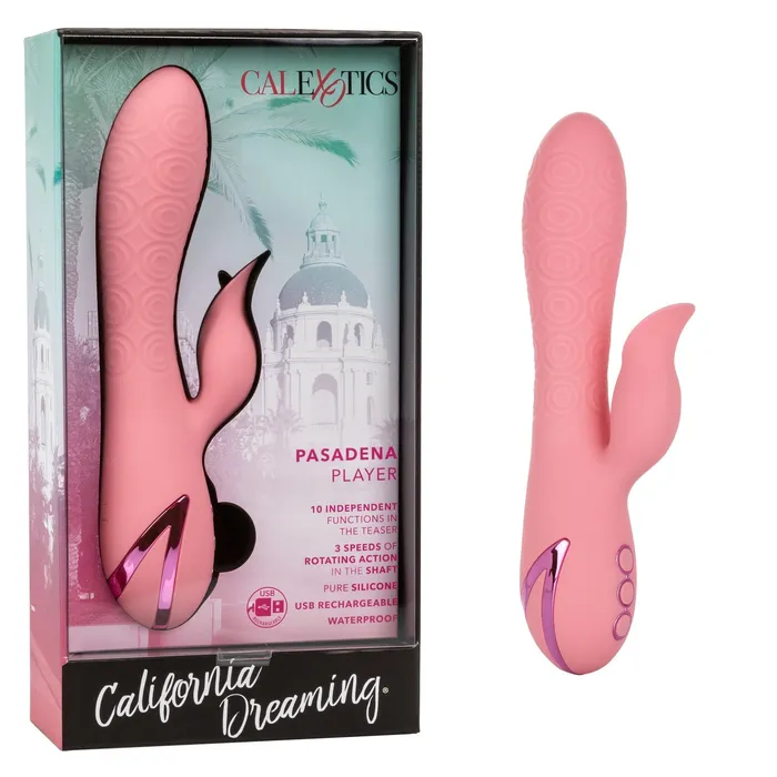 Vibrators CalExotics California Dreaming Pasadena Player