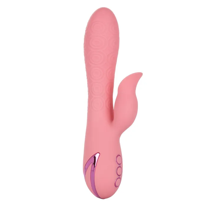 Vibrators CalExotics California Dreaming Pasadena Player