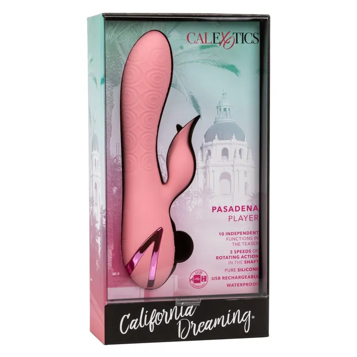 Vibrators CalExotics California Dreaming Pasadena Player