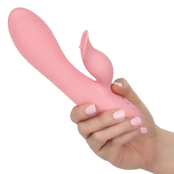 Vibrators CalExotics California Dreaming Pasadena Player