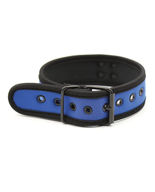 Vibrators S G Entertainment Plesur B Plesur Neoprene Puppy Collar 