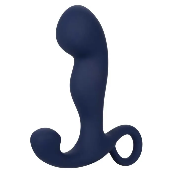 Viceroy Rechargeable Command Probe iloveexcitement Anal