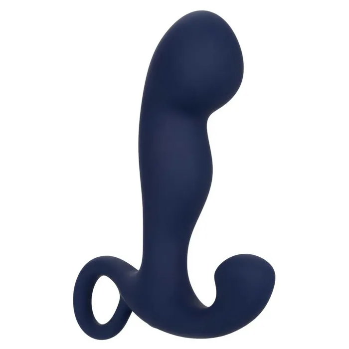 Viceroy Rechargeable Command Probe iloveexcitement Anal