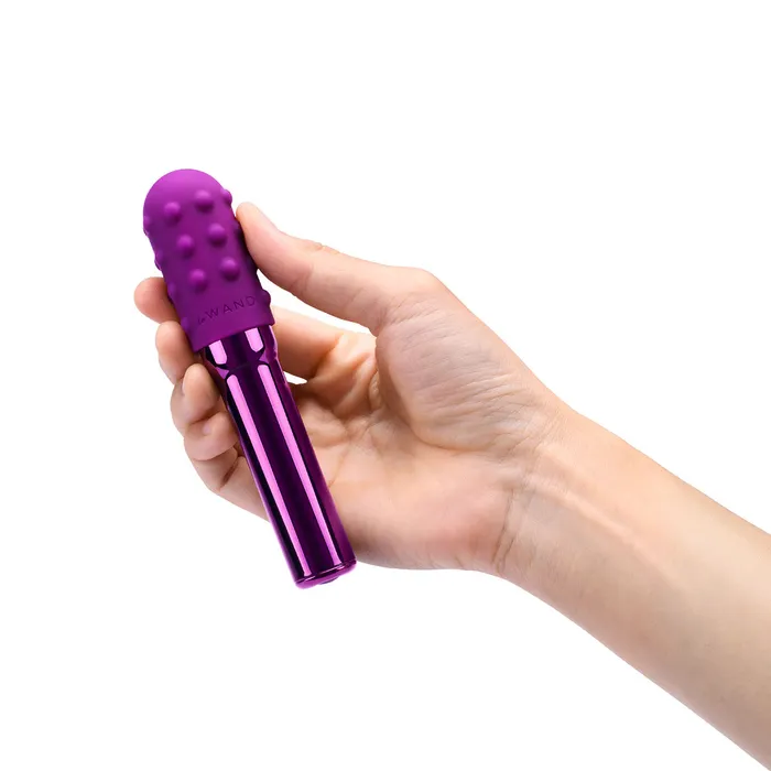Le Wand Female Sex Toys Le Wand Chrome Grand Bullet
