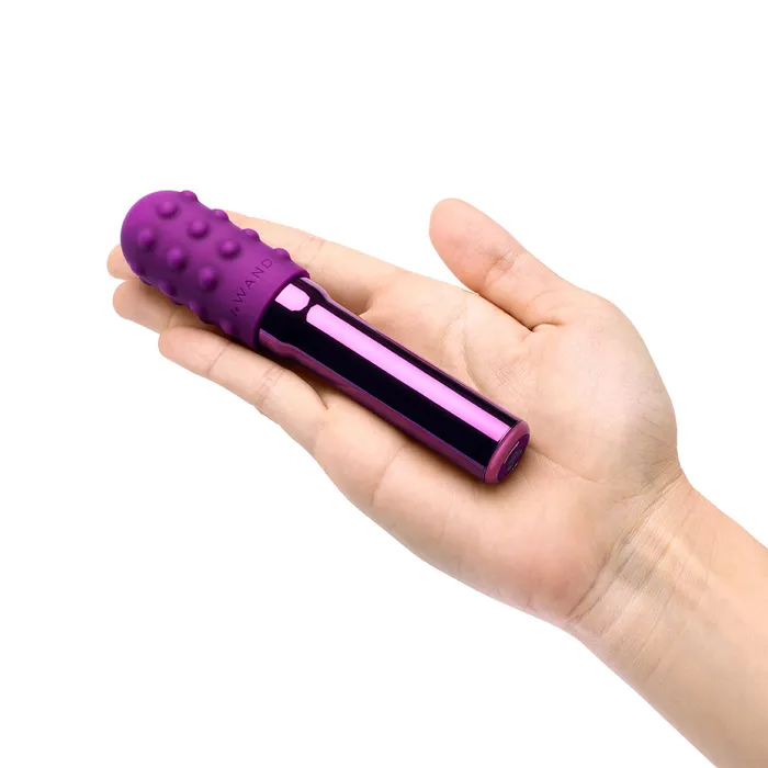 Le Wand Female Sex Toys Le Wand Chrome Grand Bullet